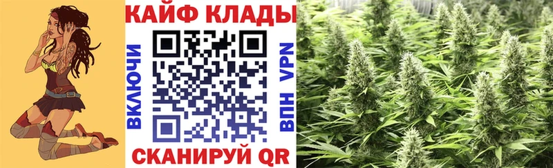Где можно купить наркотики Шумиха КОКАИН  АМФЕТАМИН  Псилоцибиновые грибы  APVP  Гашиш 