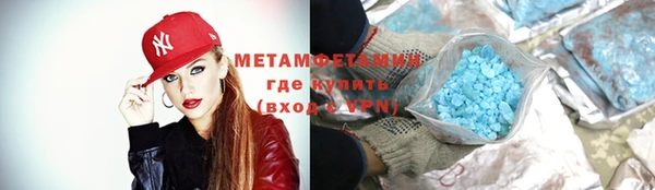 прущие грибы Сатка