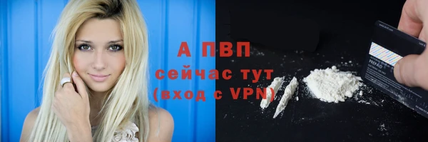 эйфоретик Сафоново