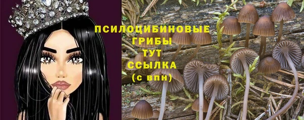 ешки Никольск