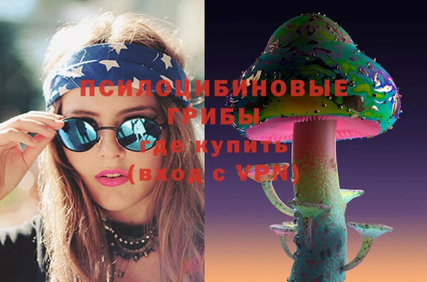 прущие грибы Сатка