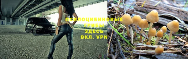 прущие грибы Сатка
