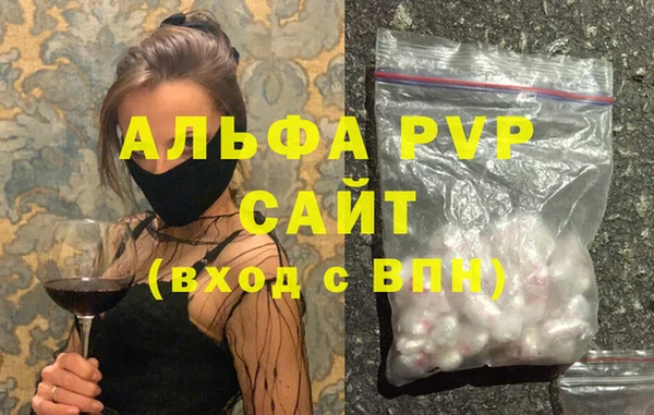 прущие грибы Сатка