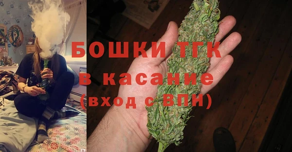 прущие грибы Сатка